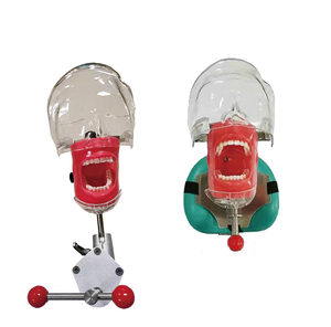 Advanced Phantom Head / <strong>Dental</strong> teaching <strong>simulator</strong> <strong>unit</strong>/oral teaching models - Product Image 1