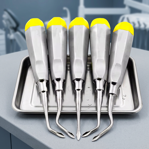 Elevadores Dentales Manuales Reutilizables de Acero Inoxidable Satinsky con Empuñadura Acolchada de Lujo, Certificación CE Clase I, Plateados - Product Image 4