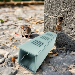 Katı demir sıçan ve fare kafes insancıl katlanabilir canlı yakalamak fare tuzağı kare haşere kontrol aksesuar abd levha boyutu - Product Image 6