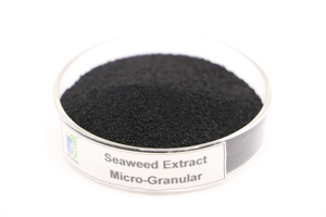 Poudre d'extrait d'algues enrichie en acide humique biostimulant d'algues organiques solubles dans l'eau pour la croissance des plantes Agriculture <span class=keywords><strong>Engrais</strong></span> du sol - Product Image 4