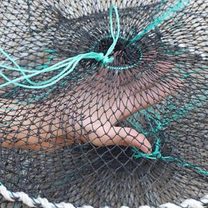 Ow Shing dget olololprprage age Age - Product Image 6