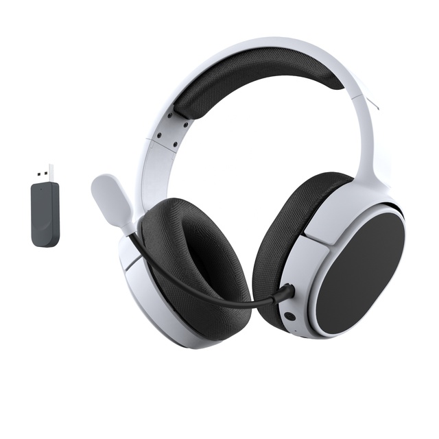 New Private Mold V10W OEM 2.4ghz Bt Wireless Gaming Headset Headphone for PS5, XBOX, PC