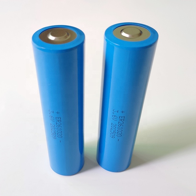 261020 3.6v 16Ah CC Size Primary Batteries ER261020 16000mAh 601220 Disposable Battery for LORA IOT WIRELESS