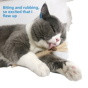 Jouet à mâcher pour chaton avec herbe à chat, fruits et raphia pour l'auto-entretenissement, le nettoyage des dents et l'élimination de la plaque dentaire - Product Image 1
