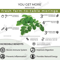 Aeglewell OEM Ekstrak Daun Moringa Bubuk Moringa En Poudre 1kg Harga Bubuk Moringa Murni Alami