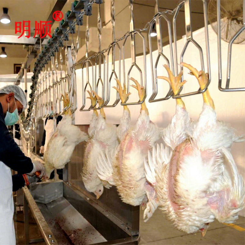 Best Selling Exported to 15 African