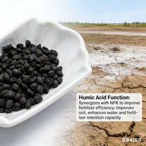 Engrais Composé Organique Lent à Libération au Gingembre/Ail, Humate de Potassium et Acide Humique d'Origine Minérale HDL, Granulés Séchés au <span class=keywords><strong>Soleil</strong></span>, 20kg/sac - Product Image 2