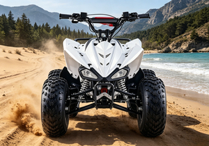 <span class=keywords><strong>Quad</strong></span> 4 roues tout-terrain robuste à essence 125cc avec suspension indépendante et châssis en acier chromoly pour adultes - Product Image 6