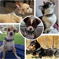 Collier pour chien robuste à rivets pointus, laisse assortie, réglable pour chiens de grande/moyenne taille, style punk, accessoires pour animaux de compagnie