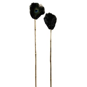 Peacock Feather Duster Bamboo Handle 19in And Above Soft For Furniture Decorative Item - Product Image 5