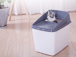 <span class=keywords><strong>Caja</strong></span> <span class=keywords><strong>de</strong></span> <span class=keywords><strong>Arena</strong></span> para Gatos Portátil y Ligera AFP, Entrada Superior, Sin Desorden, <span class=keywords><strong>con</strong></span> <span class=keywords><strong>Rejilla</strong></span> para Recoger <span class=keywords><strong>Arena</strong></span>, Fácil <span class=keywords><strong>de</strong></span> Limpiar - Product Image 6