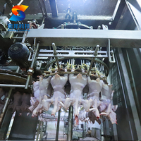 Machine d'abattage de poulet automatisée ZB avec cône de destruction pour poulets de chair