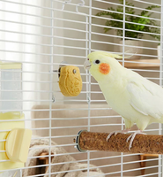 Biscuits pour oiseaux, friandises récompensantes pour calopsites, à base de céréales pour le nettoyage du bec et à mâcher interactivement, personnalisables