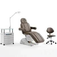Electric Cosmetology Chair, Cosmetic Bed, Three Sections