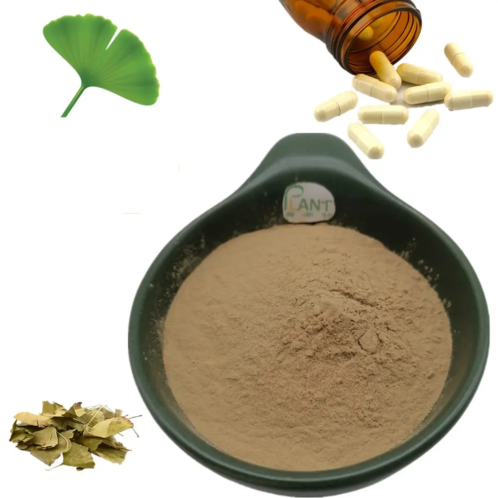 Nutrifirst-cápsulas de extracto de hojas de Ginkgo biloba, proveedor de cápsulas de extracto de ginko biloba en polvo