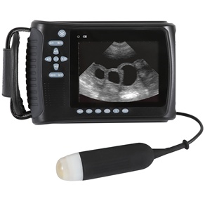 Máquina de Ultrasonido Veterinaria Portátil y de Mano a Precio de Fábrica DM, Equipo de Ultrasonido para Animales - Product Image 1