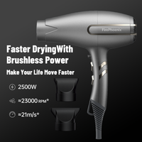 Sèche-cheveux électrique FirePhoenix F3 MaxPro 2500W, moteur BLDC sans balais haute vitesse 21m/s, sèche-cheveux professionnel
