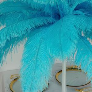 Faveurs de mariage En Gros plumes d'autruche blanches - Product Image 3