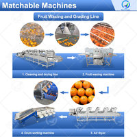 OCEAN Automatische Knoflook Sinaasappel Fruit Sorteermachine Bosbes Tomaat Reinigings- en Maat Sorteermachine