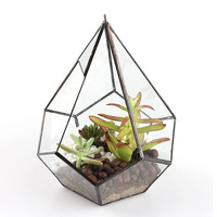 Pot de jardinière en forme de goutte d'eau avec ouverture intérieure moderne, Terrarium géométrique en verre suspendu au mur, Terrarium géométrique pour plantes succulentes