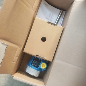 Sensor de Nivel Vibratorio Original Endress+Hauser E+H Soliphant FTM20, Materiales ABS/Metal/Zinc, 1 Año de Garantía - Product Image 6
