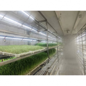 Système <span class=keywords><strong>de</strong></span> culture hydroponique complet et économique en seau - Product Image 5