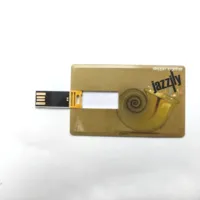 Kartu kredit USB 128GB 64GB 32GB 16GB 8GB 4GB 2GB 1MB, stik memori USB flash Drive bisnis massal pabrik