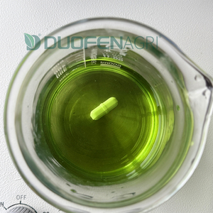 Polvo de extracto de algas marinas, fertilizante de extracto de algas marinas, polvo de fertilizante de extracto de algas marinas Soluble en agua - Product Image 4