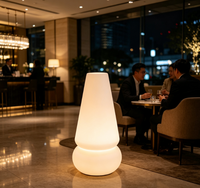 Lampe de sol LED d'extérieur rechargeable, étanche IP65, à intensité variable, avec télécommande, lumière d'ambiance, décoration pour Noël, Halloween, patio, piscine