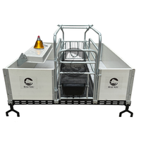 Caisses de mise bas de truie de haute qualité Cages professionnelles pour animaux d'élevage de porcs pour fermes porcines