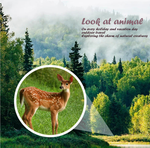 2000X25 키가 큰 망원경 단안경은 작고 휴대하기 때문에 여행, 하이킹, 낚시 및 캠핑에 적합합니다. - Product Image 6