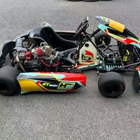 Go Karts para Adultos a Gasolina, Kart de 4 Tiempos con Transmisión por Cadena, Motor Eléctrico y Freno de Disco para Karting al Aire Libre