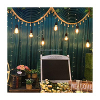 Guirlandes lumineuses LED en verre luxueuses LEXI, alimentées par courant alternatif, blanc chaud, pour la décoration de scènes de mariage et de fêtes d'hôtel