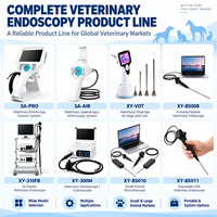 Solution complète pour l'approvisionnement en endoscopes vétérinaires : Système d'endoscopie vétérinaire, Gastroscopie, Coloscopie, Bronchoscopie, Équipement vétérinaire