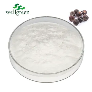 Natural Detergent Ingredients Chinese Soapberry Seed Soapnut Extract 40% Soapnut Saponin