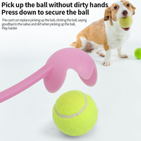 Lanceur de balles pour chien avec longue poignée douce et confortable