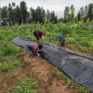 Yeşil Çizgili Siyah Renk Hindistan Cevizi Lifi Yabancı Ot Kontrol Malçları Ağaç Tarım Malç Keçe Dokuma Kumaş Yabancı Ot Örtüsü - Product Image 5