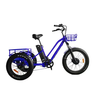 48V tricycle bike adult three wheel motorcycle with LCD panel