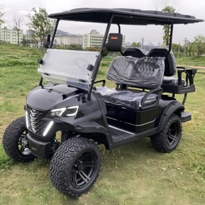Servizi di Personalizzazione per Buggy Fuoristrada, Golf Cart, <span class=keywords><strong>Club</strong></span> Car, Auto Elettrica Vintage - Product Image 4