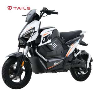 Tailg özel ucuz 2 tekerlekler 1200W 3000 Watt 100CC 250CC yarış Off-road spor elektrikli motosiklet yetişkin için