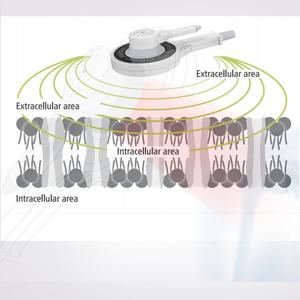 Physio Magneto therapie Rehabilitation geräte Pemf Schmerz linderung Magnetfeld therapie Pmst Neo Physiotherapie Maschine - Product Image 6