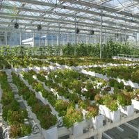 Vente en gros d'accessoires pour serres agricoles en PVC ZEWKO, système hydroponique NFT, système de plantation verticale intérieur, stable