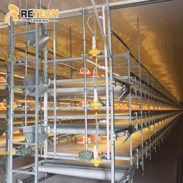 Automatic Bird-Harvesting Chicken Battery Cage For Broilers
