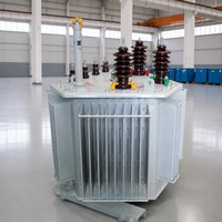 Transformateur de distribution triphasé immergé dans l'huile S13-MR-30/10 avec noyau en fer empilé et conception étanche