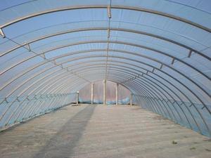 ฟิล์ม PE เรือนกระจกสองชั้นขนาดใหญ่สำหรับการเพาะปลูกเพื่อการเกษตรที่มีประสิทธิภาพ - Product Image 3