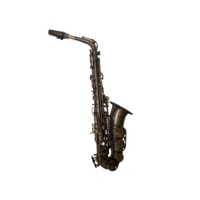 SEASOUND OEM Professional Alto Saxophone Wind Instrument JYAS112VGGC Gold Copper Material Vintage Color EB Tone Adjustable