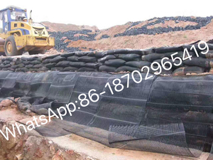 PP lưới tản nhiệt lưới một trục nhựa <span class=keywords><strong>geogrid</strong></span>/ PE một chiều <span class=keywords><strong>geogrid</strong></span> cho đất bảo vệ - Product Image 6