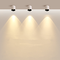 Led Long Baril Anti-éblouissement Sans Trou Ouvert Aspiration Plafond Fleur Cob Salon Allée Spot Lumineux