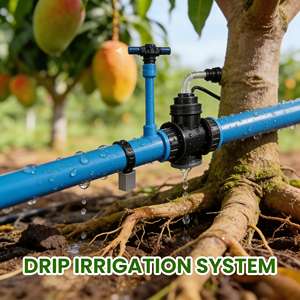 ปุ๋ยชีวภาพออร์แกนิกควบคุมไนมาโทด กรดฮิวมิก ปูร์เพอโรซิลลิอุม ลิลาซินัม สำหรับปกป้องราก เพิ่มผลผลิตพืช ชนิดผง - Product Image 6