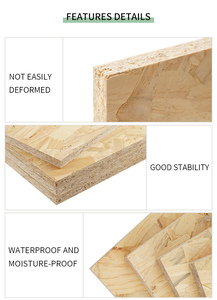 <span class=keywords><strong>Tablero</strong></span> <span class=keywords><strong>OSB</strong></span> Resistente a la <span class=keywords><strong>Humedad</strong></span> para Fabricación de Muebles y Decoración de Interiores - Product Image 5